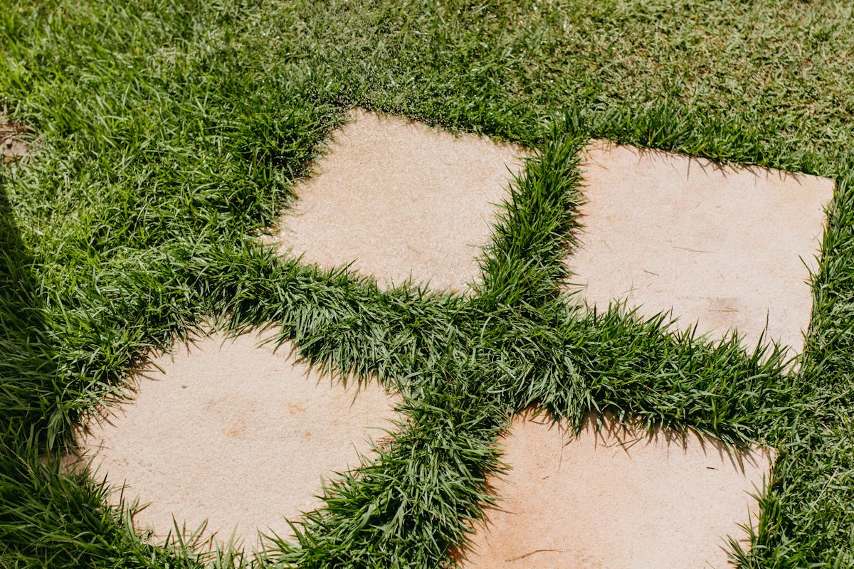 Jardin paysager à Saint-Paul-de-Vence
